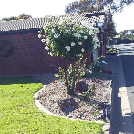 Federation Motel Resort - Corowa Exterior foto